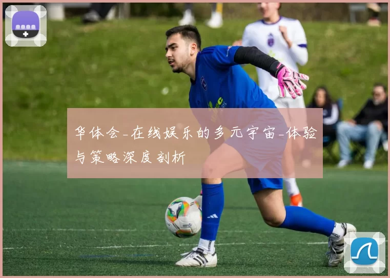 华体会_在线娱乐的多元宇宙_体验与策略深度剖析