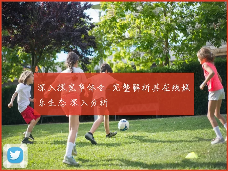 深入探究华体会_完整解析其在线娱乐生态 深入分析