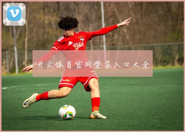 开云体育官网登录入口大全