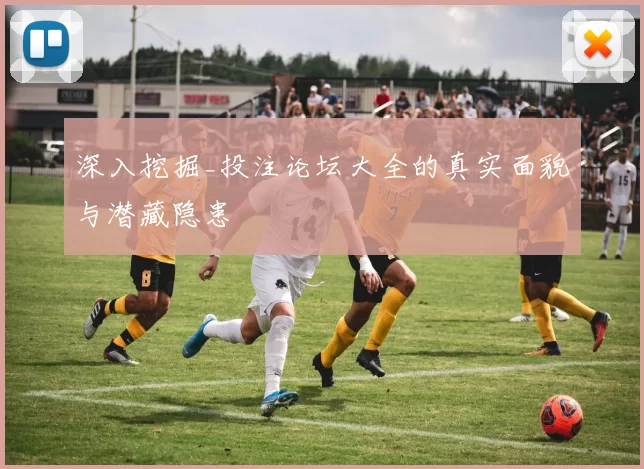 深入挖掘_投注论坛大全的真实面貌与潜藏隐患