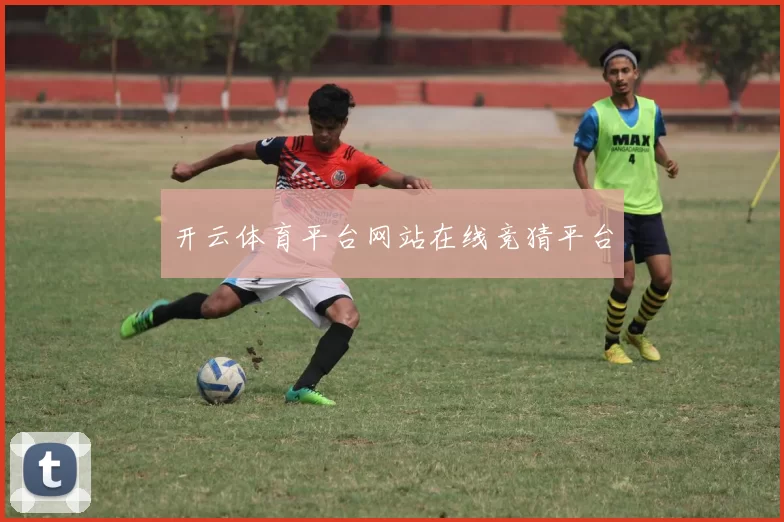 开云体育平台网站在线竞猜平台