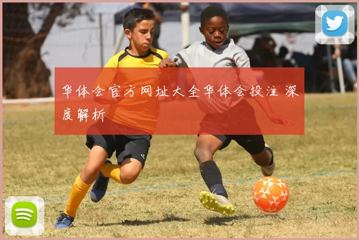 华体会官方网址大全华体会投注 深度解析