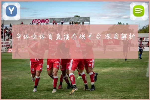 华体会体育直播在线平台 深度解析