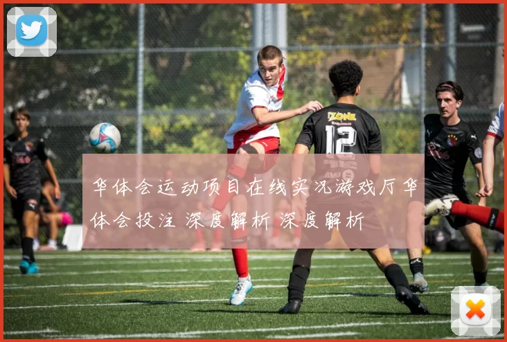 华体会运动项目在线实况游戏厅华体会投注 深度解析 深度解析
