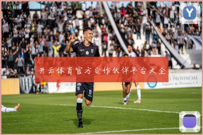 开云体育官方合作伙伴平台大全