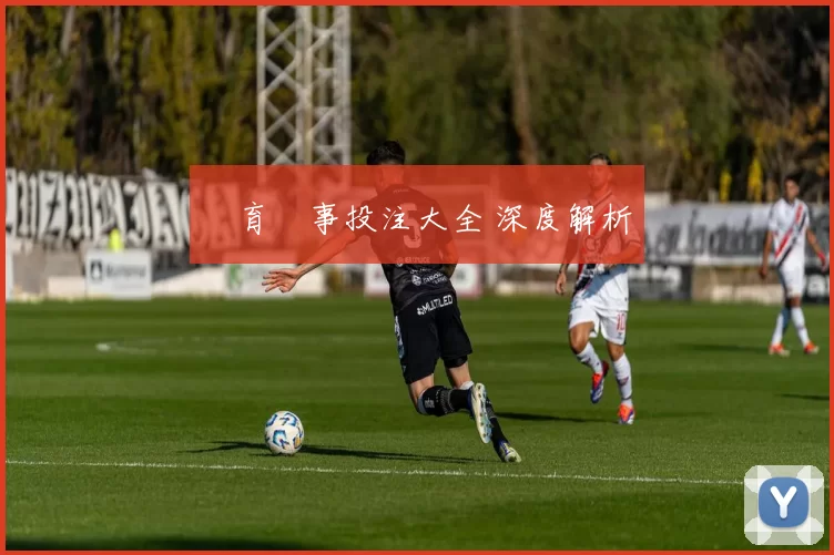 體育賽事投注大全 深度解析