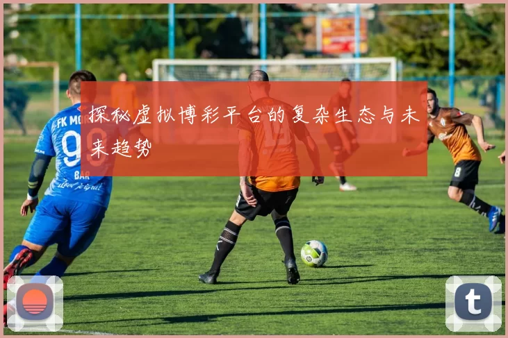 探秘虚拟博彩平台的复杂生态与未来趋势