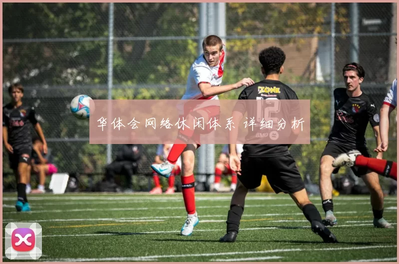 华体会网络休闲体系 详细分析