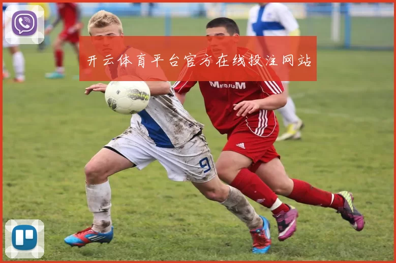 开云体育平台官方在线投注网站