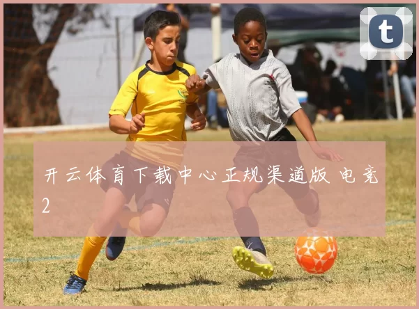 开云体育下载中心正规渠道版 电竞2