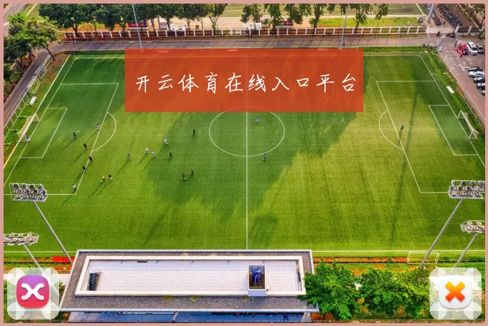 开云体育在线入口平台