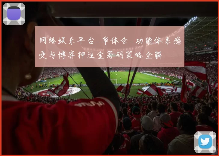网络娱乐平台_华体会_功能体系感受与博弈押注金筹码策略全解