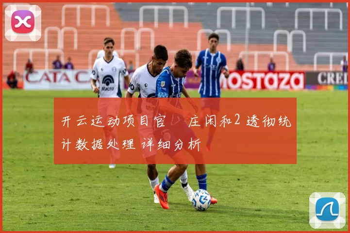 开云运动项目官網 庄闲和2 透彻统计数据处理 详细分析