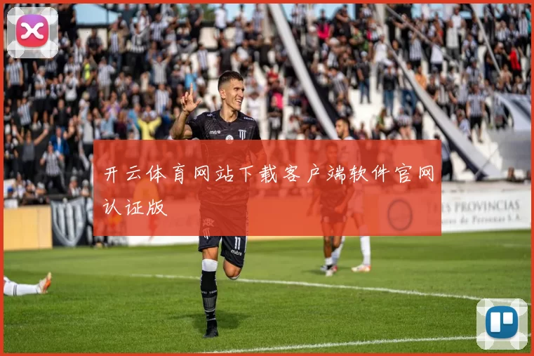 开云体育网站下载客户端软件官网认证版