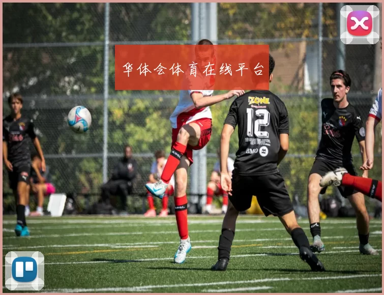 华体会体育在线平台