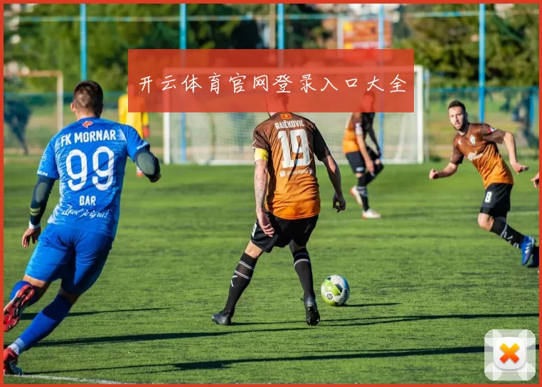 开云体育官网登录入口大全