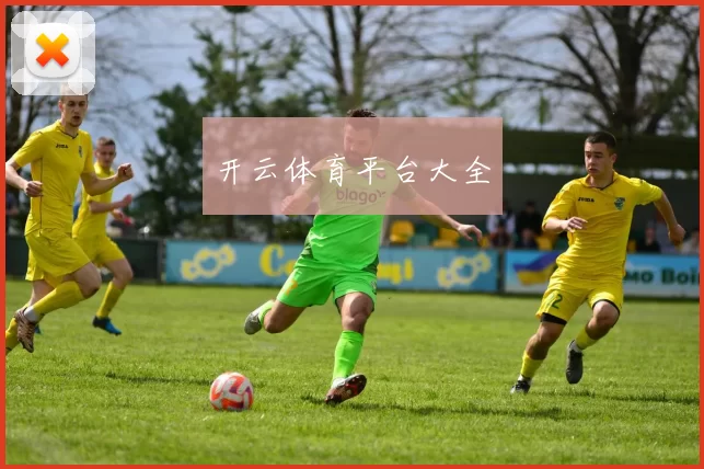 开云体育平台大全