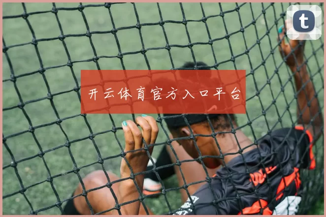 开云体育官方入口平台
