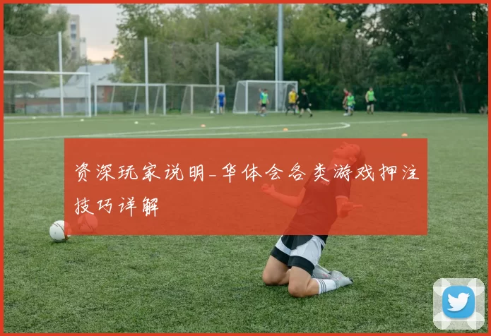 资深玩家说明_华体会各类游戏押注技巧详解