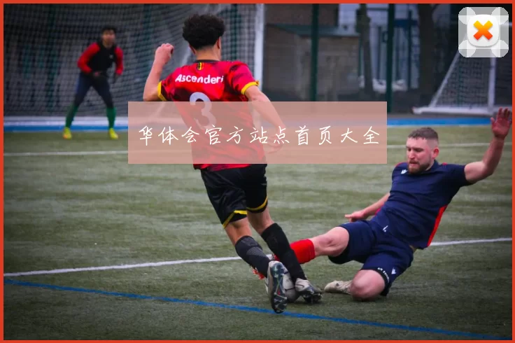 华体会官方站点首页大全