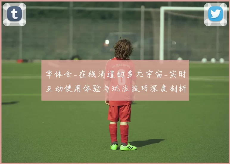 华体会_在线消遣的多元宇宙_实时互动使用体验与玩法技巧深度剖析