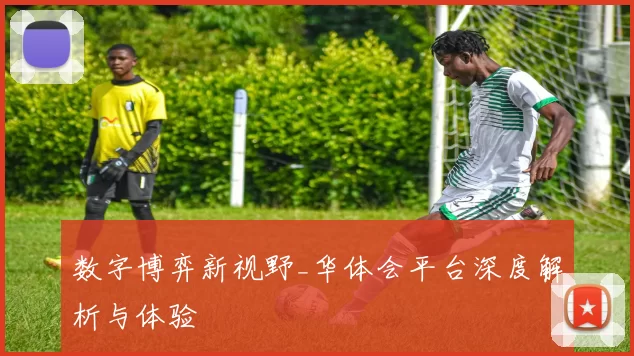 数字博弈新视野_华体会平台深度解析与体验