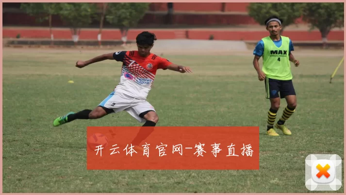 开云体育官网-赛事直播