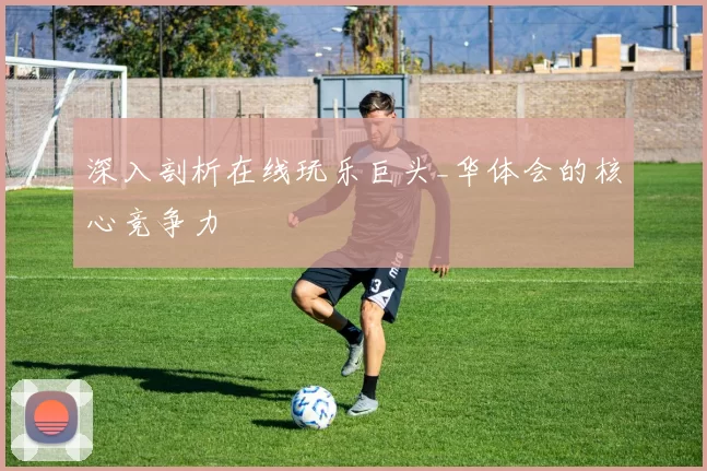 深入剖析在线玩乐巨头_华体会的核心竞争力