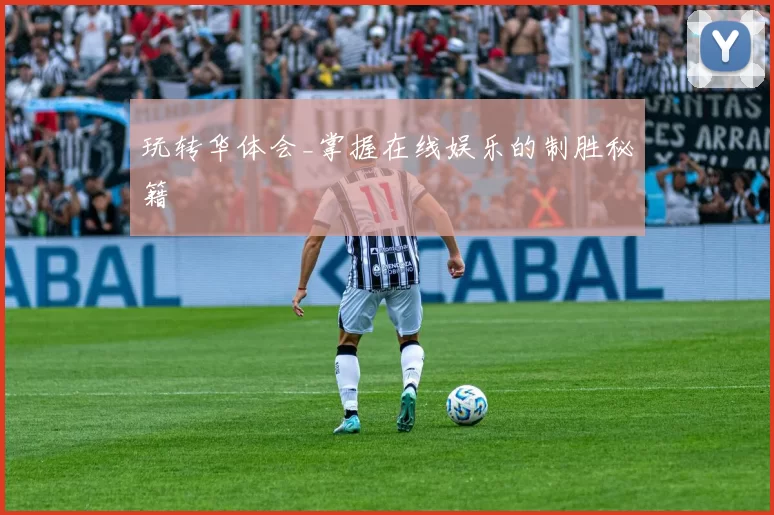 玩转华体会_掌握在线娱乐的制胜秘籍