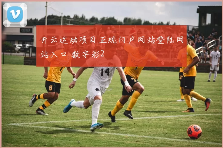 开云运动项目正规门户网站登陆网站入口 数字彩2