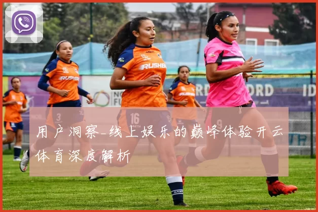 用户洞察_线上娱乐的巅峰体验开云体育深度解析