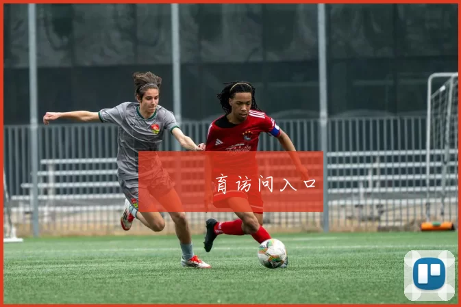 開雲體育访问入口