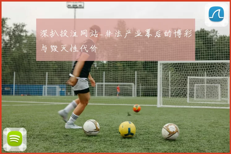 深扒投注网站_非法产业幕后的博彩与毁灭性代价
