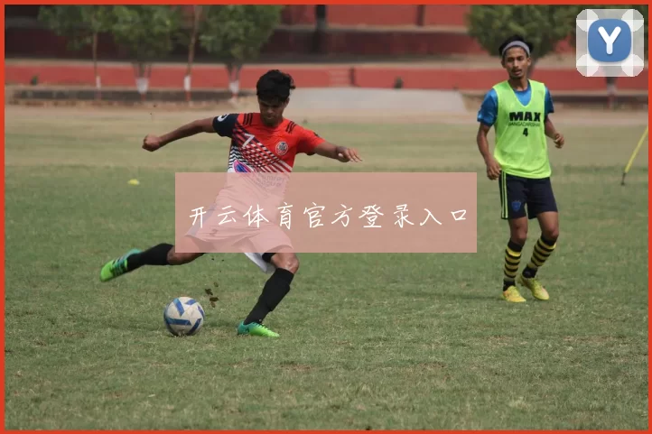 开云体育官方登录入口