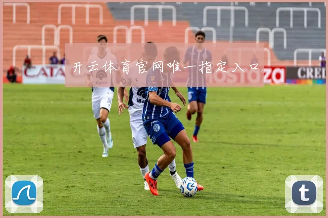 开云体育官网唯一指定入口