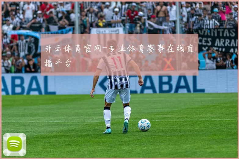 开云体育官网-专业体育赛事在线直播平台