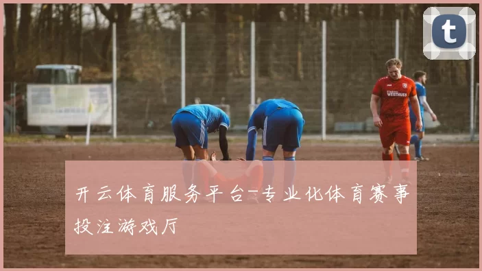 开云体育服务平台-专业化体育赛事投注游戏厅