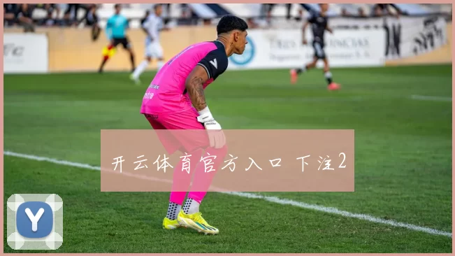 开云体育官方入口 下注2