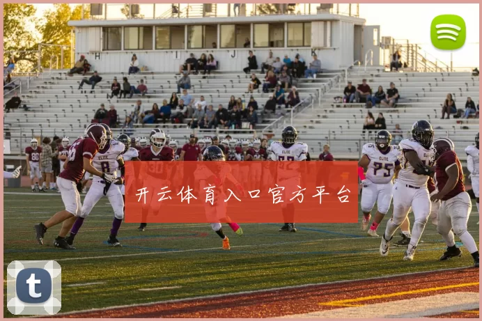 开云体育入口官方平台