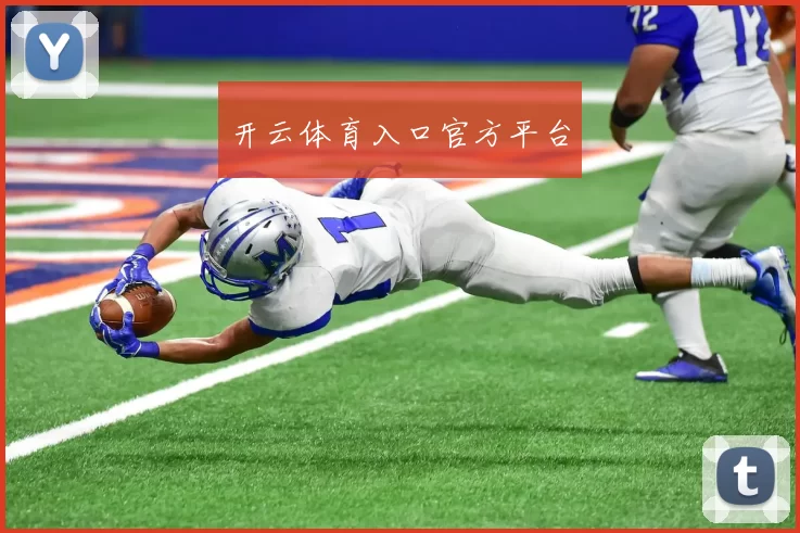 开云体育入口官方平台