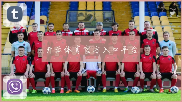 开云体育官方入口平台