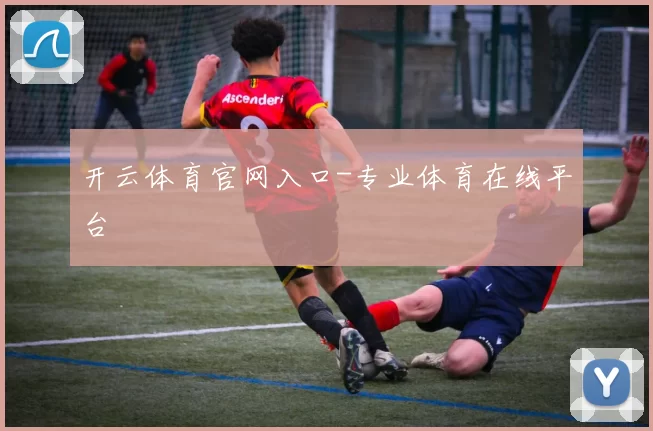 开云体育官网入口-专业体育在线平台