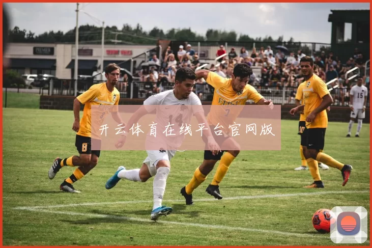开云体育在线平台官网版