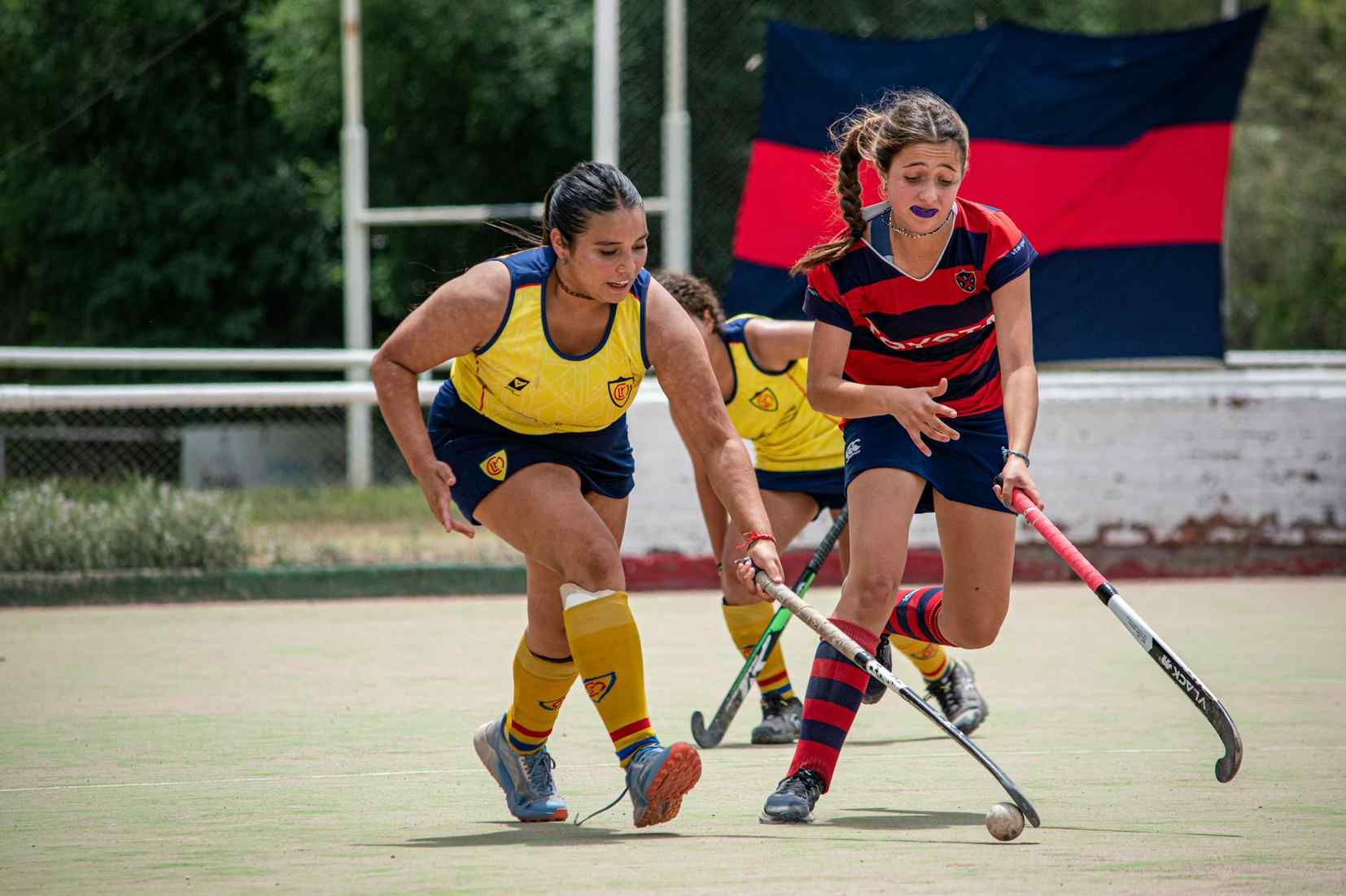 开云体育在线入口平台